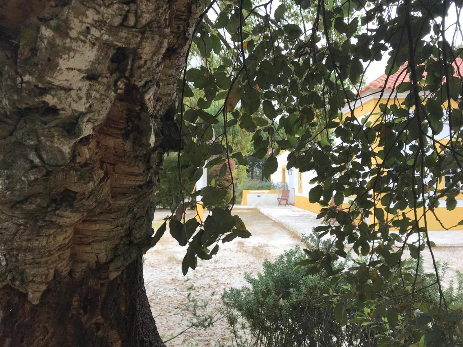 Herdade De Montalvo - Comporta Zewnętrze zdjęcie